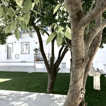 Dona Graca Apartmán *