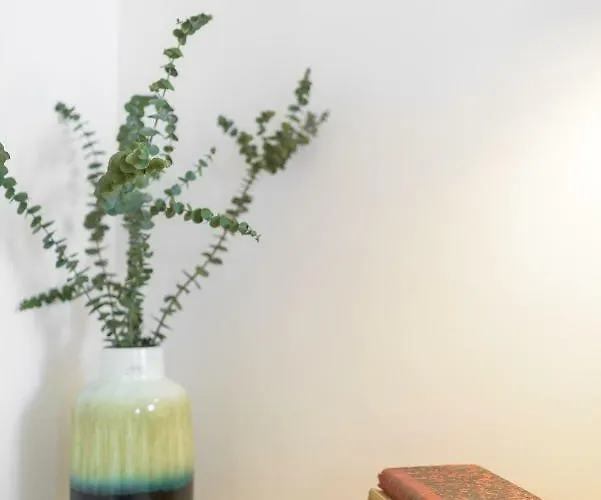 Apartment Dona Graca *