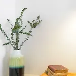 Appartement Dona Graca *