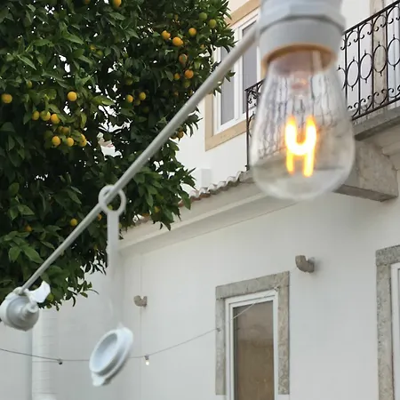 Apartment Dona Graca Lisbon